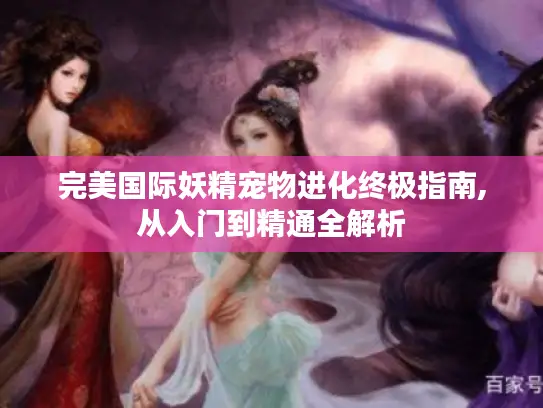 完美国际妖精宠物进化终极指南,从入门到精通全解析