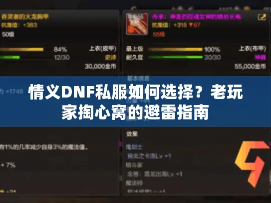 情义DNF私服如何选择?老玩家掏心窝的避雷指南 情义DNF私服如何选择?老玩家掏心窝的避雷指南