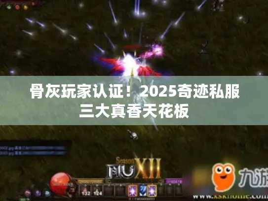 骨灰玩家认证！2025奇迹私服三大真香天花板