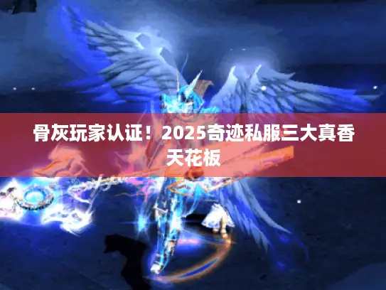 骨灰玩家认证！2025奇迹私服三大真香天花板