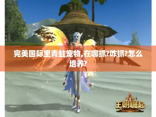 完美国际里青蛙宠物,在哪抓?咋抓?怎么培养?