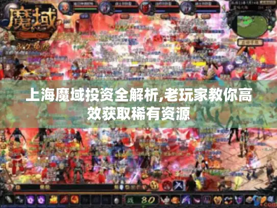上海魔域投资全解析,老玩家教你高效获取稀有资源
