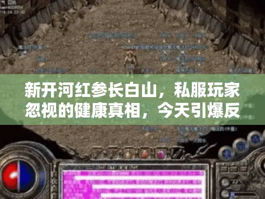 新开河红参长白山，私服玩家忽视的健康真相，今天引爆反转！