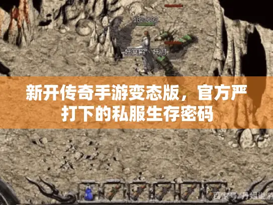 新开传奇手游变态版，官方严打下的私服生存密码