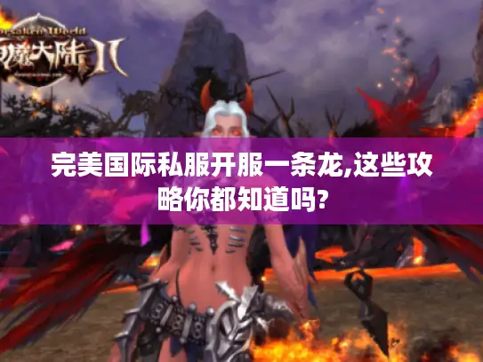 完美国际私服开服一条龙,这些攻略你都知道吗? 完美国际私服开服一条龙,这些攻略你都知道吗?