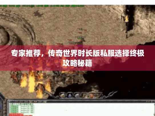 专家推荐，传奇世界时长版私服选择终极攻略秘籍