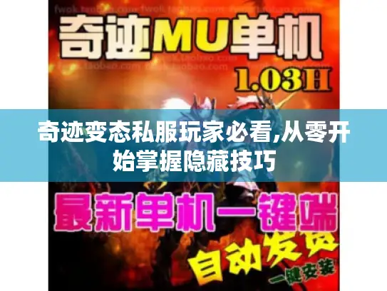 奇迹变态私服玩家必看,从零开始掌握隐藏技巧 奇迹变态私服玩家必看,从零开始掌握隐藏技巧