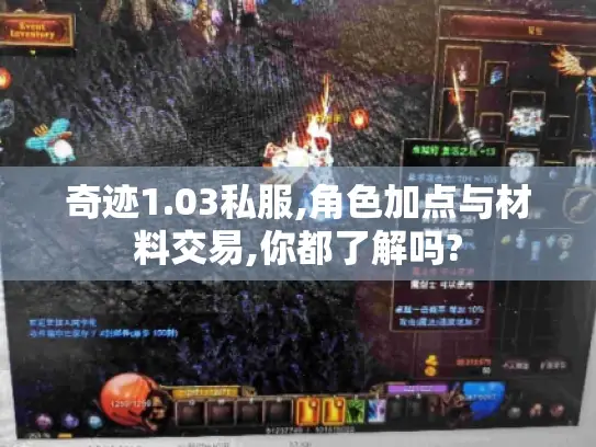 奇迹1.03私服,角色加点与材料交易,你都了解吗?