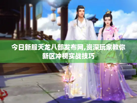 今日新服天龙八部发布网,资深玩家教你新区冲榜实战技巧