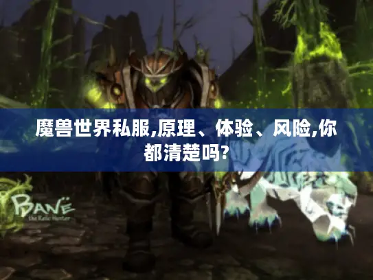 魔兽世界私服,原理、体验、风险,你都清楚吗?