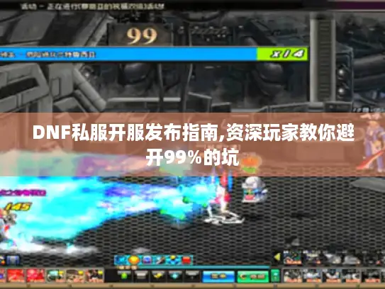 DNF私服开服发布指南,资深玩家教你避开99%的坑