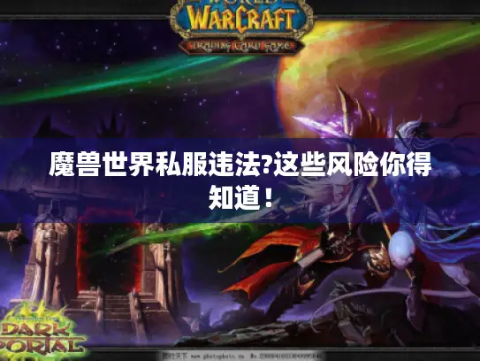 魔兽世界私服违法?这些风险你得知道! 魔兽世界私服违法?这些风险你得知道!