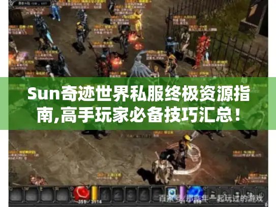 Sun奇迹世界私服终极资源指南,高手玩家必备技巧汇总！
