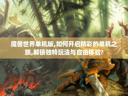 魔兽世界单机版,如何开启精彩的单机之旅,解锁独特玩法与自由体验?
