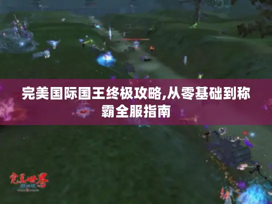 完美国际国王终极攻略,从零基础到称霸全服指南