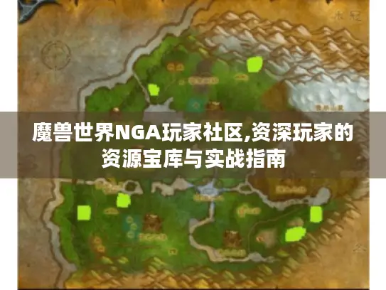 魔兽世界NGA玩家社区,资深玩家的资源宝库与实战指南