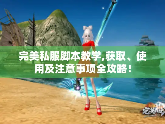 完美私服脚本教学,获取、使用及注意事项全攻略！