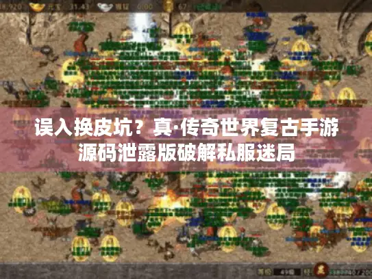 误入换皮坑？真·传奇世界复古手游源码泄露版破解私服迷局