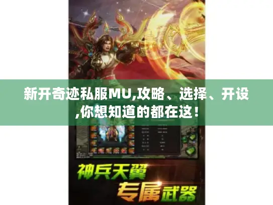新开奇迹私服MU,攻略、选择、开设,你想知道的都在这！