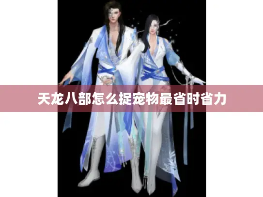 天龙八部怎么捉宠物最省时省力