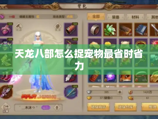 天龙八部怎么捉宠物最省时省力