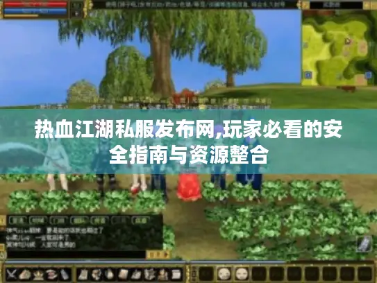 热血江湖私服发布网,玩家必看的安全指南与资源整合