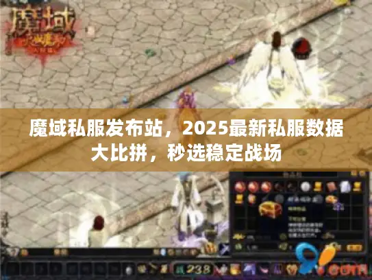 魔域私服发布站，2025最新私服数据大比拼，秒选稳定战场