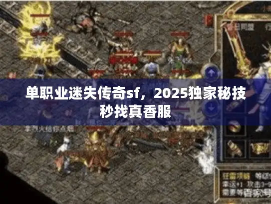 单职业迷失传奇sf，2025独家秘技秒找真香服
