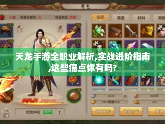 天龙手游全职业解析,实战进阶指南,这些痛点你有吗?