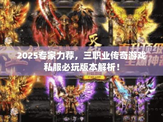 2025专家力荐，三职业传奇游戏私服必玩版本解析！