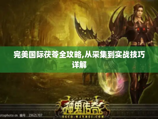 完美国际茯苓全攻略,从采集到实战技巧详解 完美国际茯苓全攻略,从采集到实战技巧详解