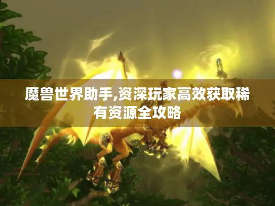 魔兽世界助手,资深玩家高效获取稀有资源全攻略