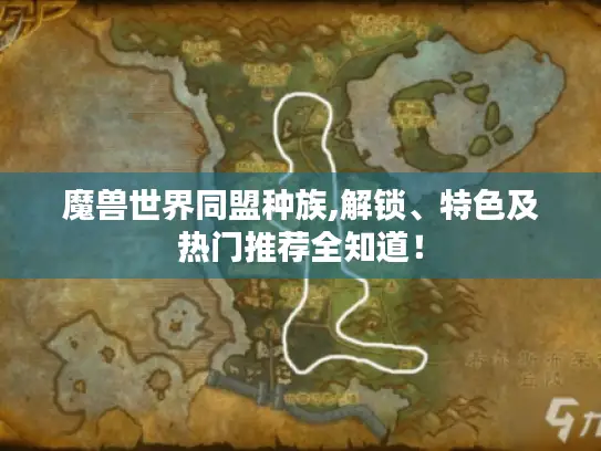 魔兽世界同盟种族,解锁、特色及热门推荐全知道! 魔兽世界同盟种族,解锁、特色及热门推荐全知道!