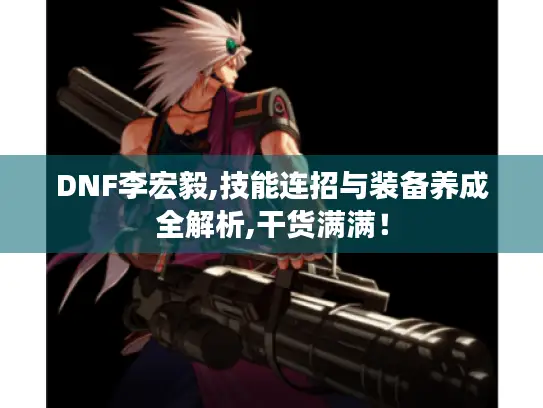 DNF李宏毅,技能连招与装备养成全解析,干货满满！