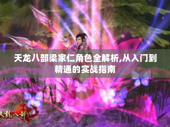 天龙八部梁家仁角色全解析,从入门到精通的实战指南