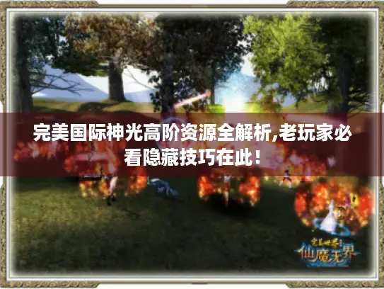 完美国际神光高阶资源全解析,老玩家必看隐藏技巧在此! 完美国际神光高阶资源全解析,老玩家必看隐藏技巧在此!