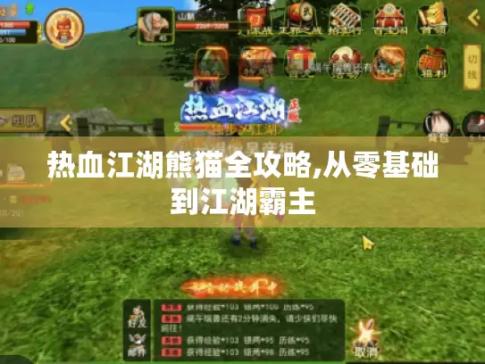 热血江湖熊猫全攻略,从零基础到江湖霸主