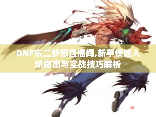 DNF东二梦想直播间,新手快速入坑指南与实战技巧解析