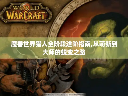 魔兽世界猎人全阶段进阶指南,从萌新到大师的蜕变之路