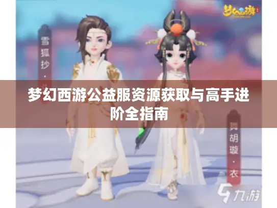 梦幻西游公益服资源获取与高手进阶全指南