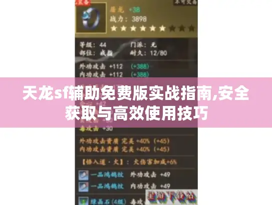 天龙sf辅助免费版实战指南,安全获取与高效使用技巧
