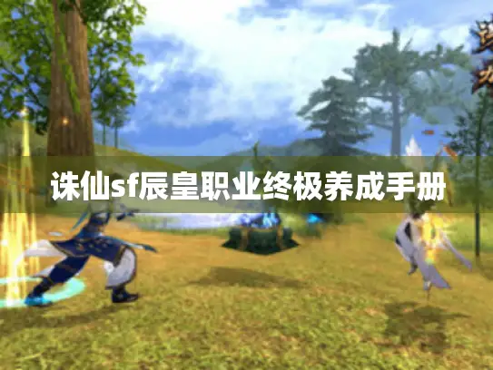 诛仙sf辰皇职业终极养成手册