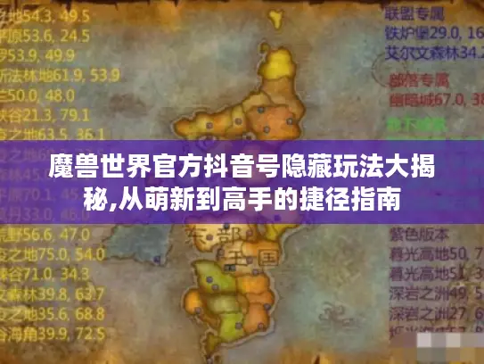 魔兽世界官方抖音号隐藏玩法大揭秘,从萌新到高手的捷径指南