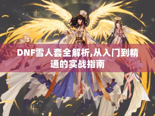 DNF雪人套全解析,从入门到精通的实战指南