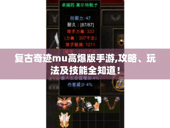 复古奇迹mu高爆版手游,攻略、玩法及技能全知道！