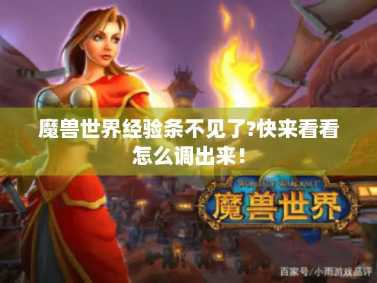 魔兽世界经验条不见了?快来看看怎么调出来！