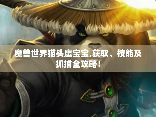 魔兽世界猫头鹰宝宝,获取、技能及抓捕全攻略！