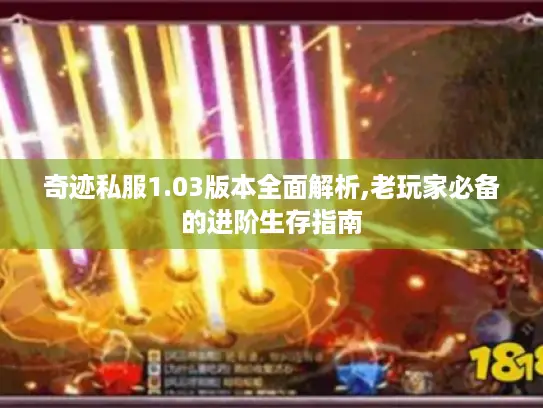 奇迹私服1.03版本全面解析,老玩家必备的进阶生存指南