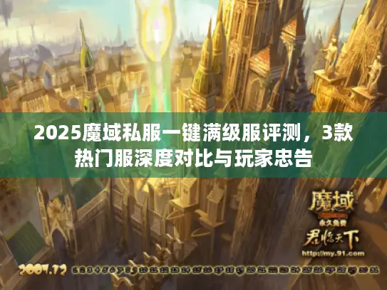 2025魔域私服一键满级服评测，3款热门服深度对比与玩家忠告