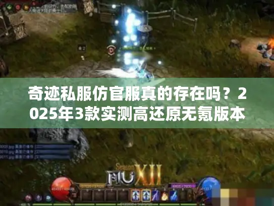 奇迹私服仿官服真的存在吗？2025年3款实测高还原无氪版本推荐